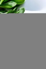 Özel Seri Parlak Oval Zirkon Taşlı Çivi Model Kadın Çelik Küpe