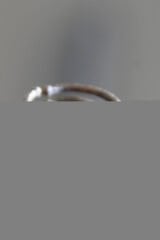 Vintage Seri Ayarlanabilir Paslanmaz Kararmaz 3 Nokta Kollu Tasarım Ametist Doğal Taş Bronz Yüzük