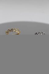 Premium Seri İvy Flower Ayarlanabilir Kadın Yüzük