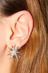 Yeni Sezon İki Renk Kuzey Yıldızı Model Zirkon Taşlı Çivi Kadın Küpe