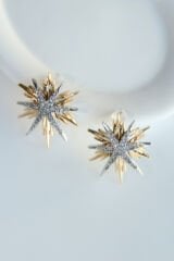 Yeni Sezon İki Renk Kuzey Yıldızı Model Zirkon Taşlı Çivi Kadın Küpe