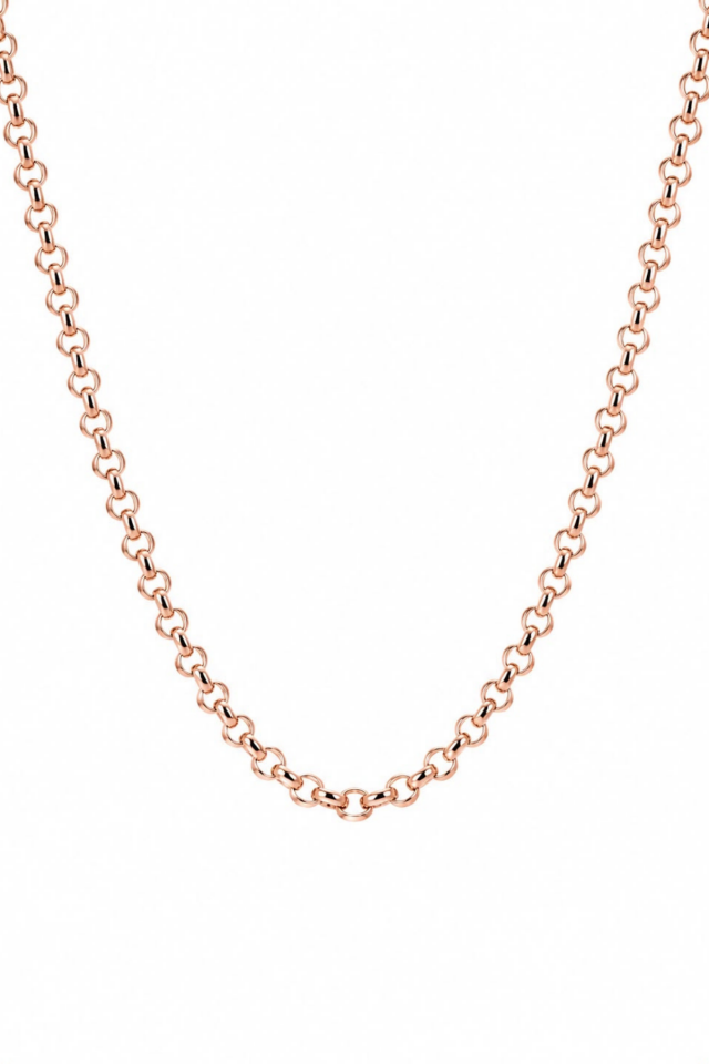 Exclusive Seri Rose Renk Oval Halka Zincir Model Kadın Çelik Kolye