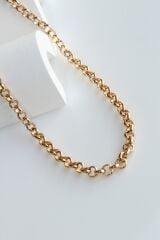 Exclusive Seri Rose Renk Oval Halka Zincir Model Kadın Çelik Kolye